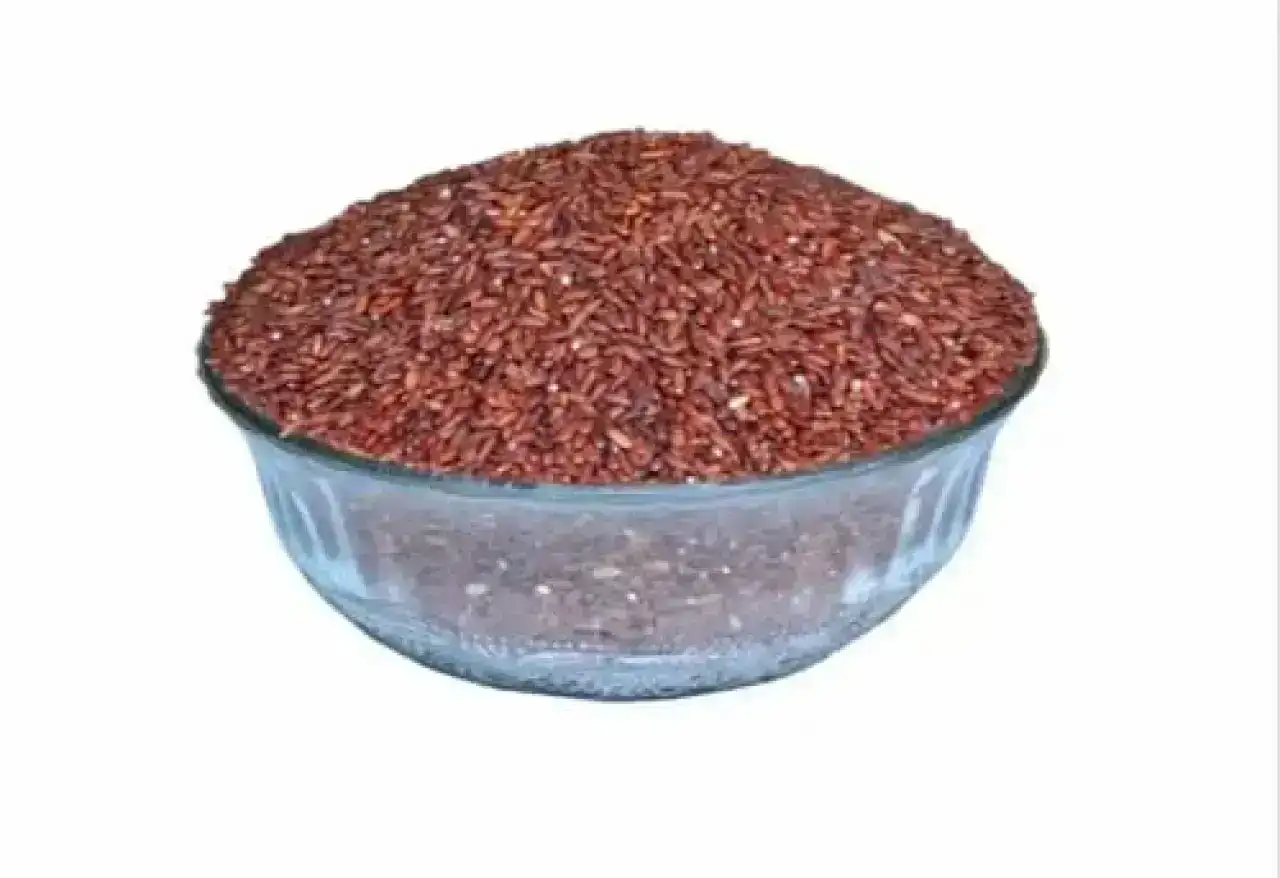 Kattuyanam