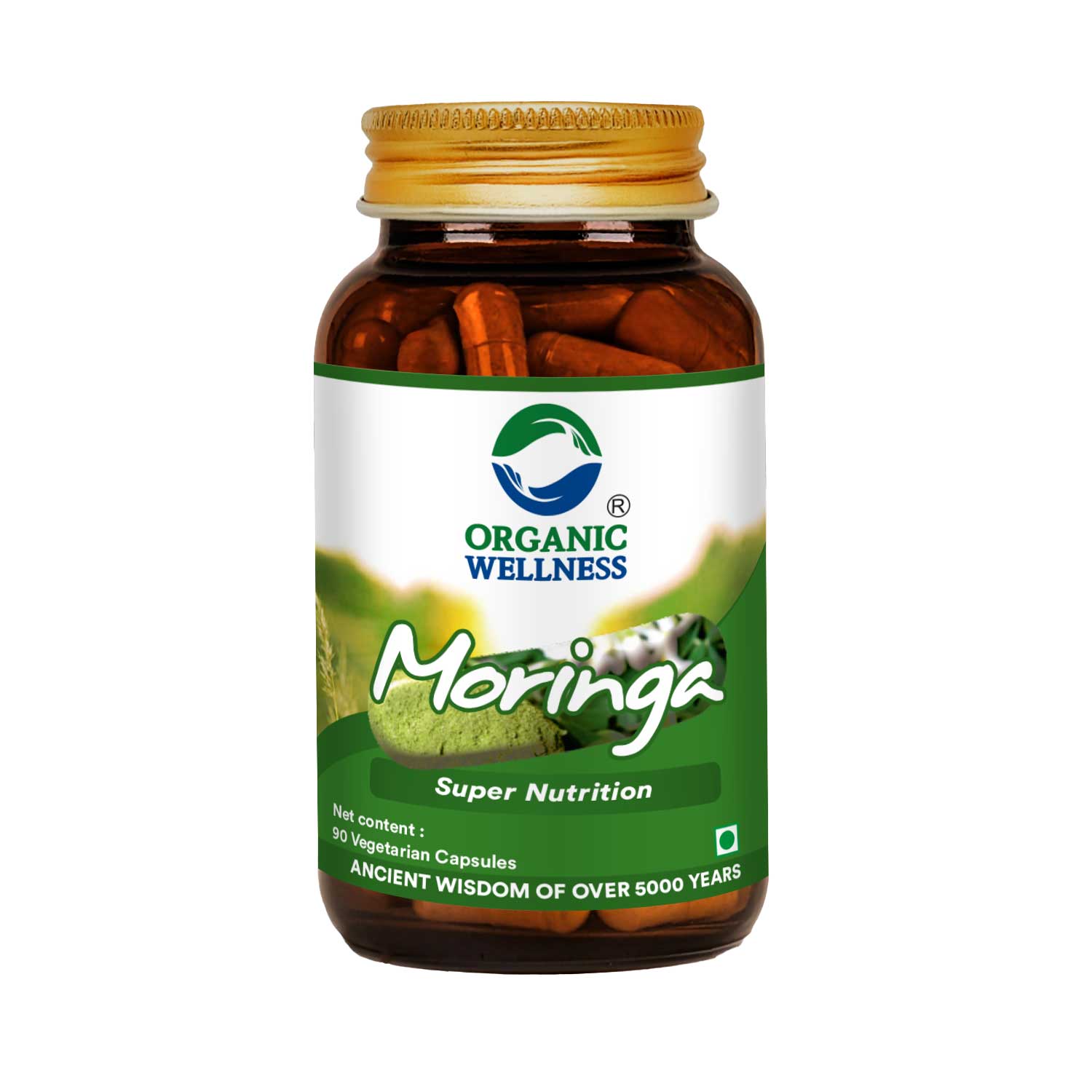 Organic Wellness Moringa Essential Nutrition  N Veg  | Sahjan | Drumstick Leaf Powder for Weight Loss