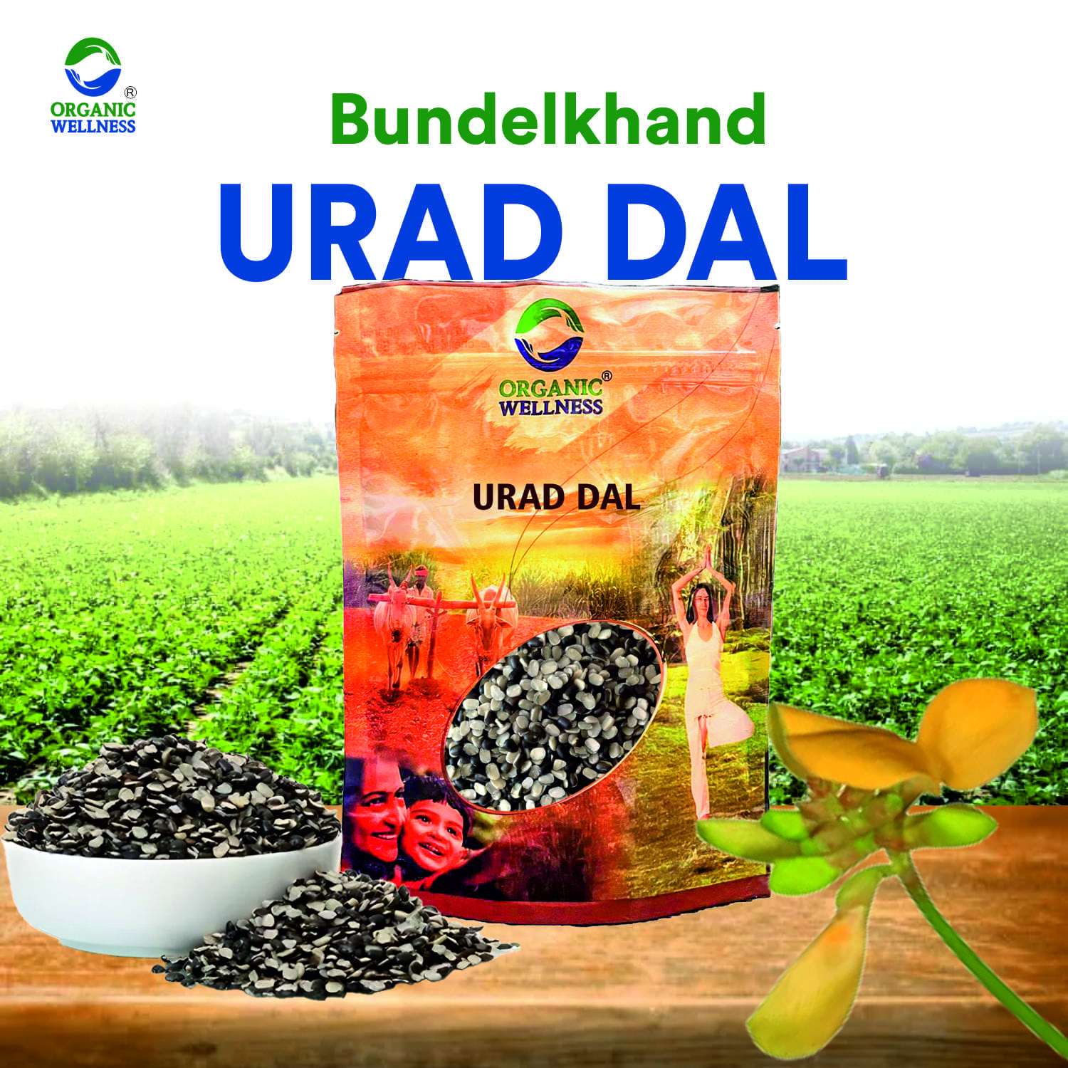 Organic Wellness Urad Dal Split