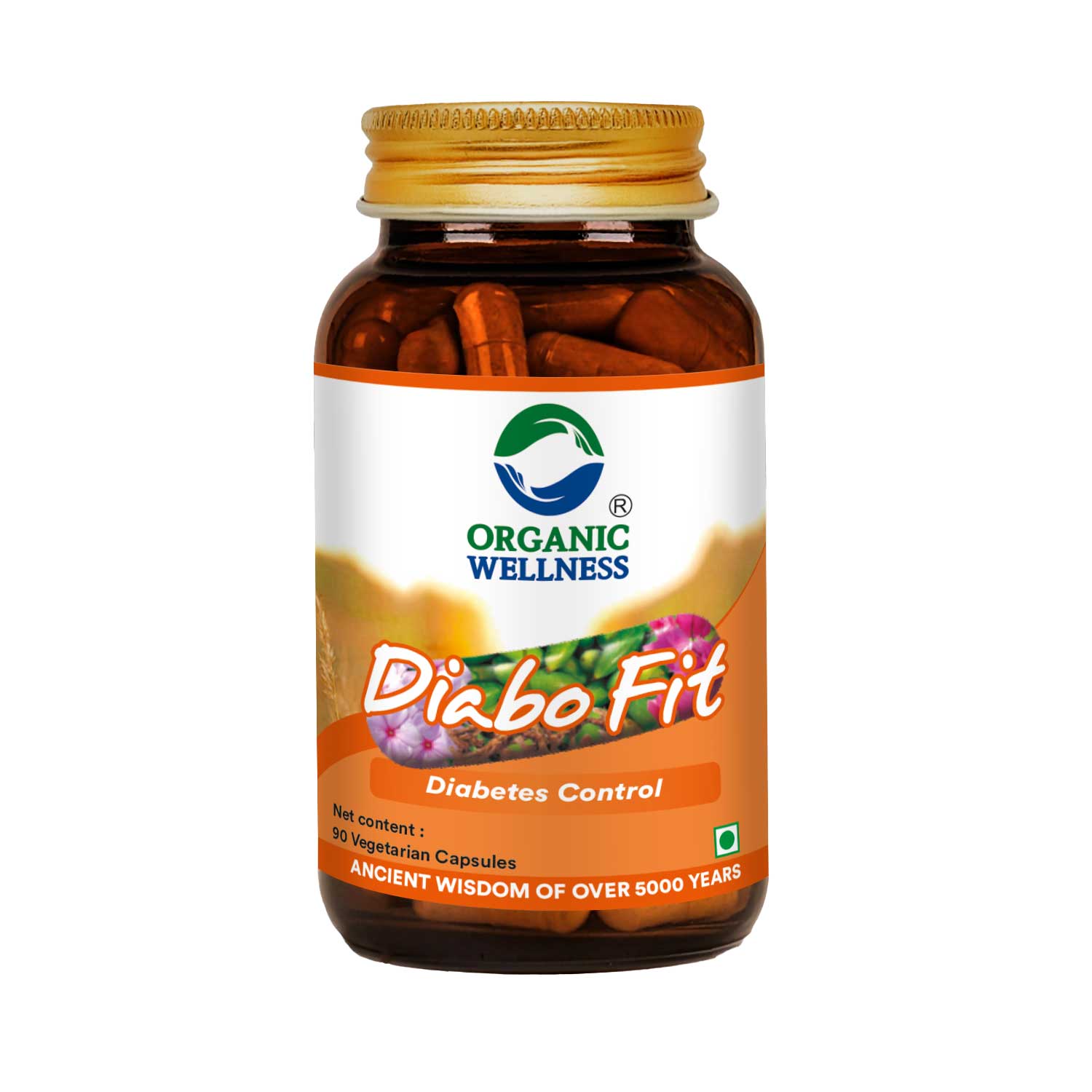 Organic Wellness Diabo-Fit