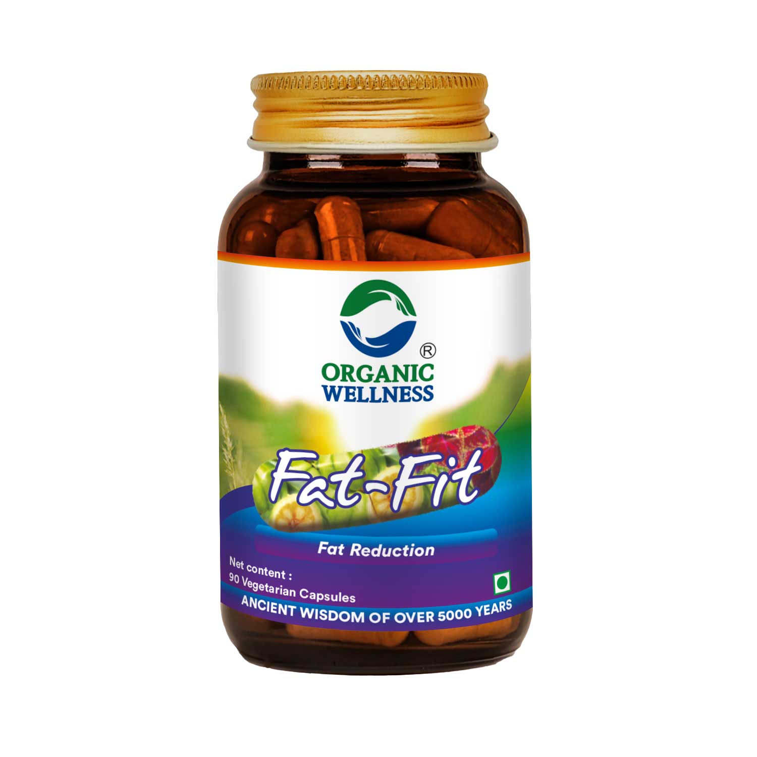 Organic Wellness Fat-Fit
