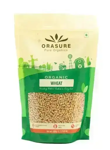 Whole Wheat 500g (Pack of 1)