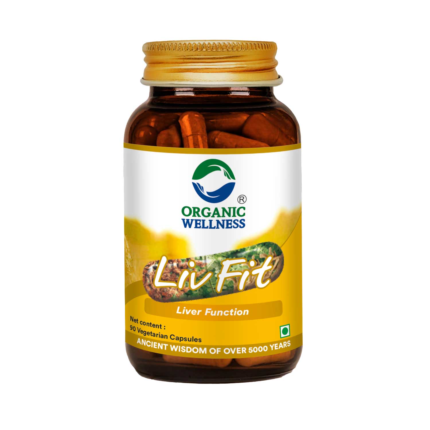 Organic Wellness Liv Fit  N Veg  | Detox & Repair Fatty Liver Formula | For Healthy Liver || Best Capsule for Liver