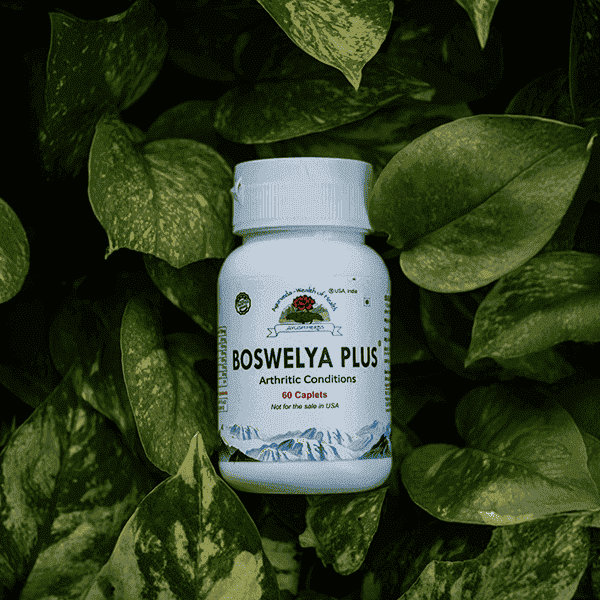 Boswelya Plus