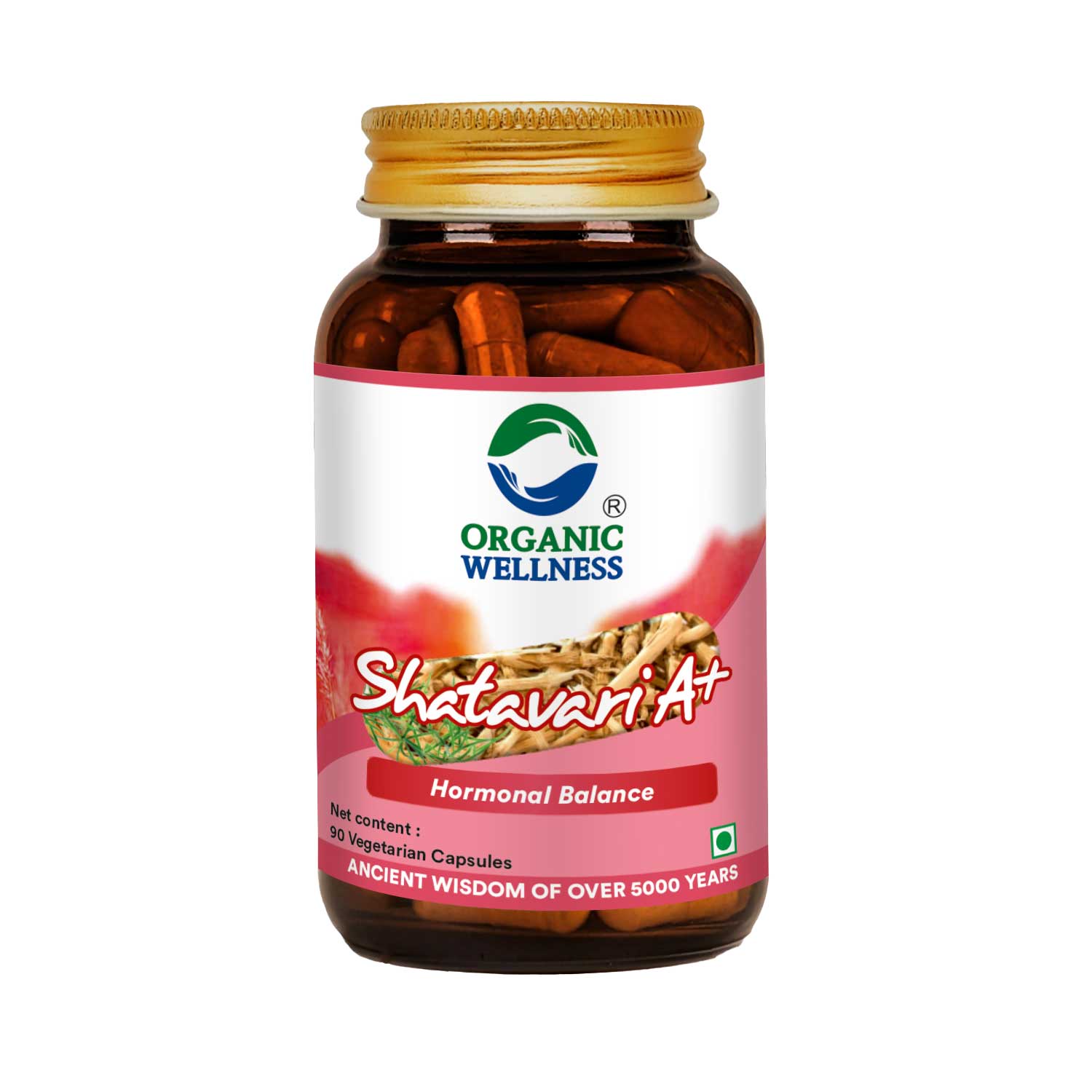 Organic Wellness Shatavari A+ | Supplement for Hormonal Balance | Supports Women's Health & Reproductive Health ()