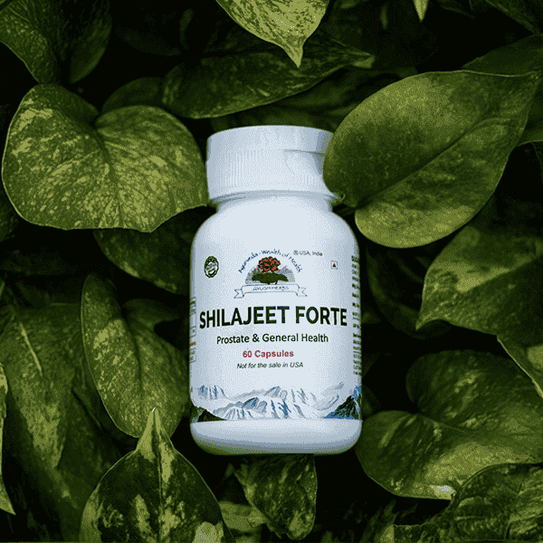 Shilajeet Forte